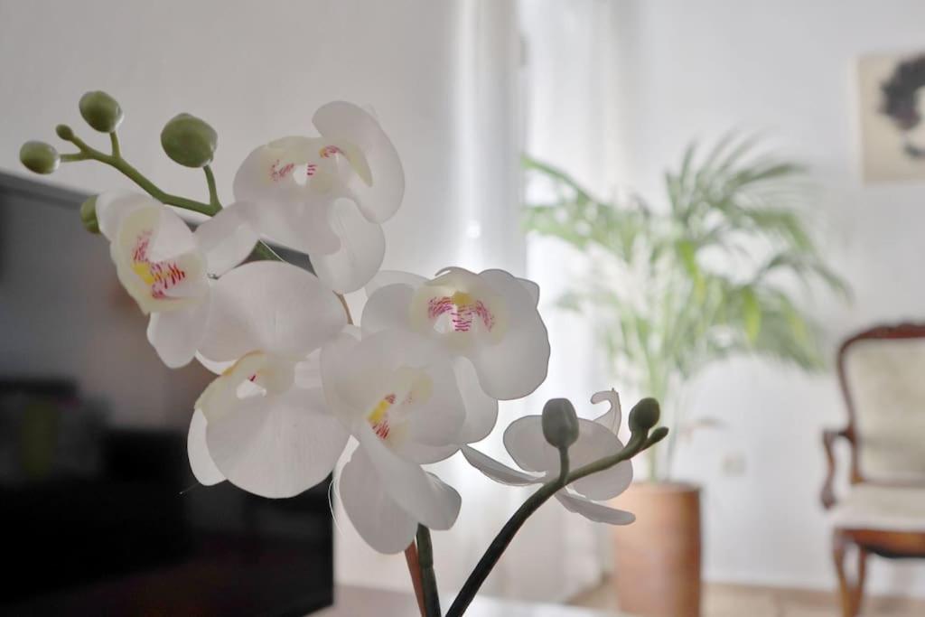 Posada La Juderia I กอร์โดบา ภายนอก รูปภาพ